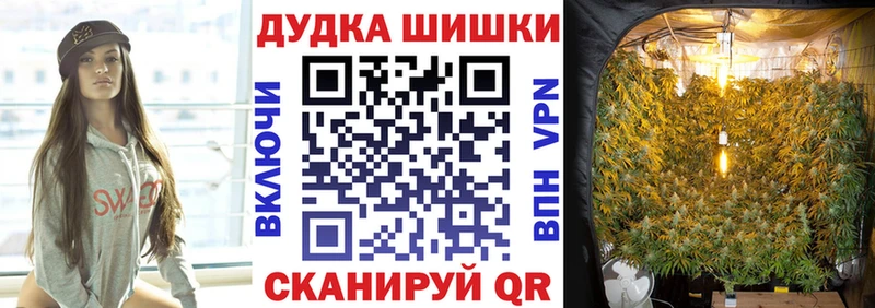 Купить закладку Лабытнанги Галлюциногенные грибы  A PVP  Гашиш  COCAIN  МАРИХУАНА 