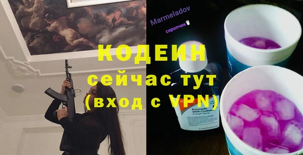 прущие грибы Лабытнанги