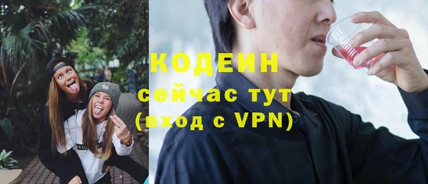 прущие грибы Лабытнанги
