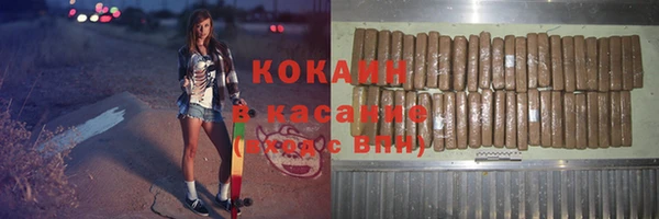 сатива Куйбышев