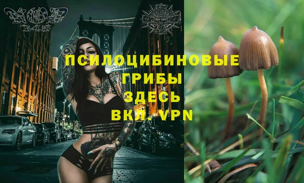 марки lsd Ладушкин