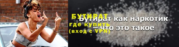 прущие грибы Лабытнанги
