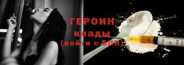 прущие грибы Лабытнанги