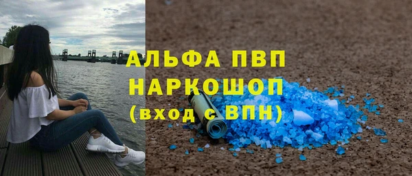 прущие грибы Лабытнанги