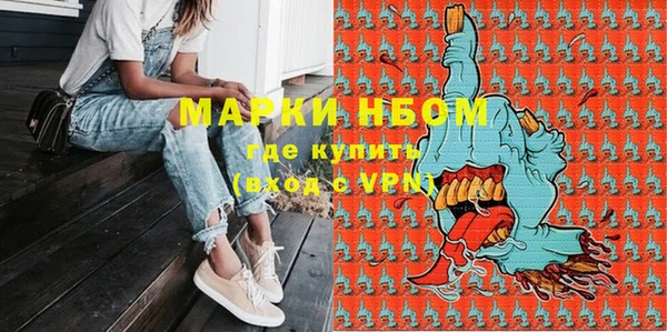 прущие грибы Лабытнанги