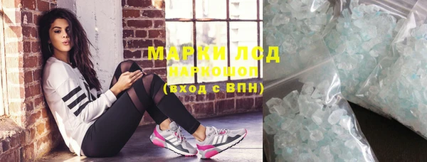 прущие грибы Лабытнанги