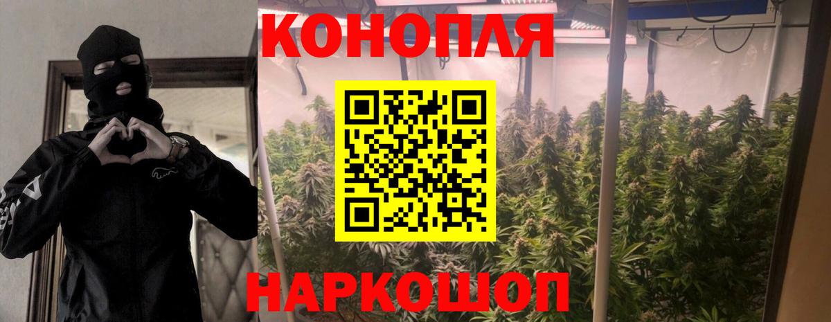 Конопля план Лабытнанги
